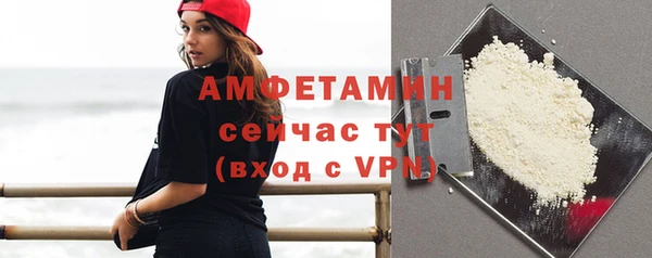 амф Дмитриев