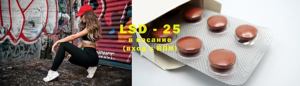 амф Дмитриев