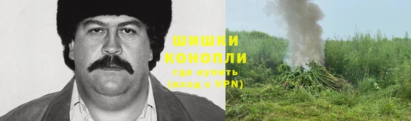 амф Дмитриев