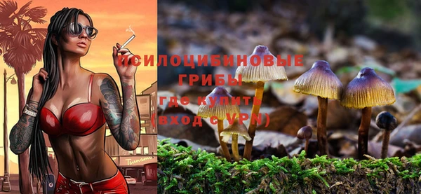 спиды Дмитровск