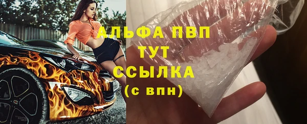СК Дмитров