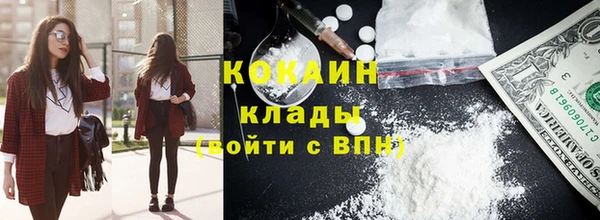 амф Дмитриев