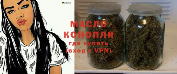 СК Дмитров